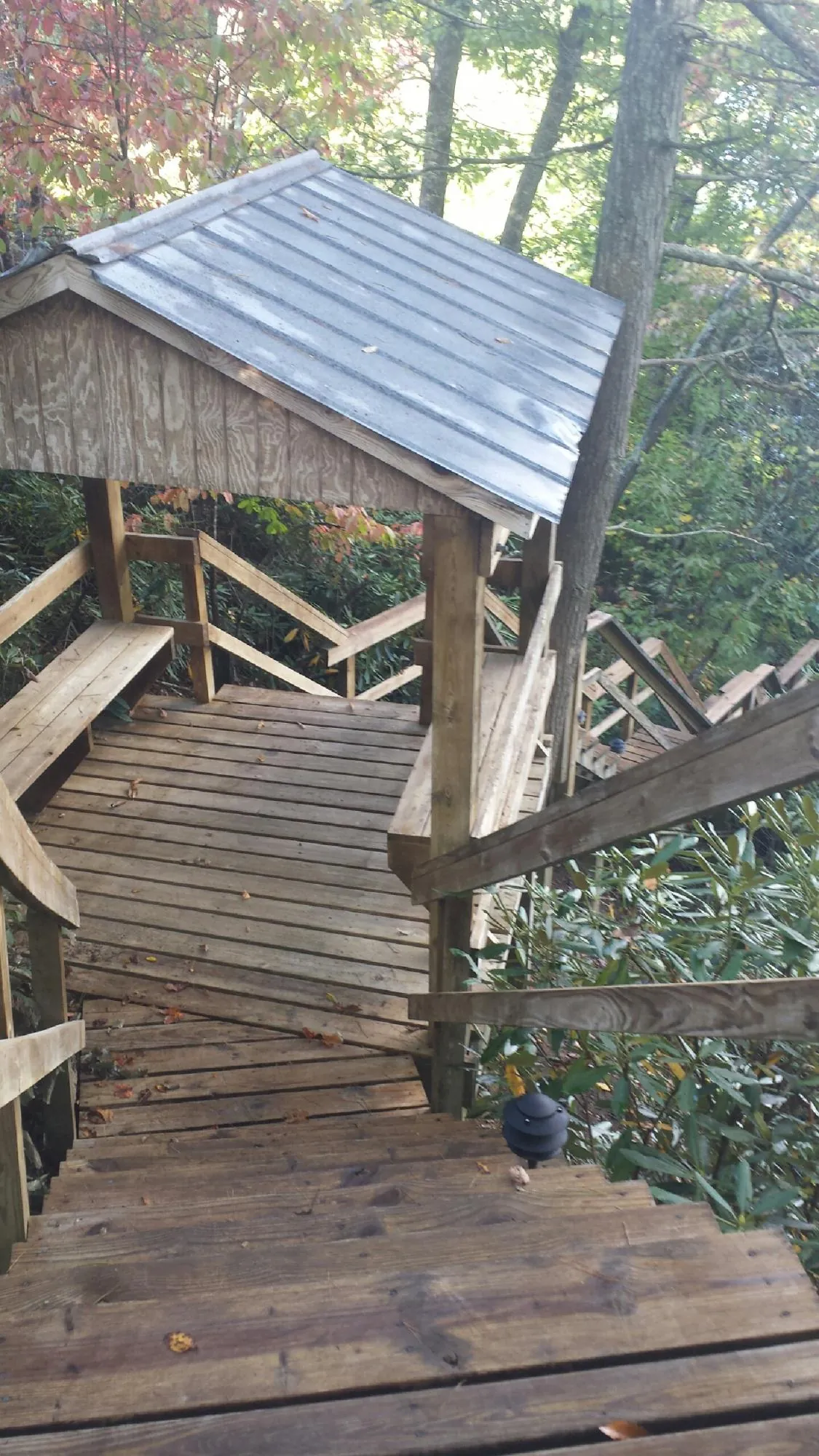 Metal roofed shelter over wooden steps on a wooded walkway in Fairdale